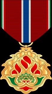 مدال و نشان های دولتی